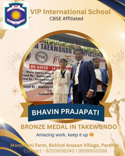 Bronze Medal In Takewondo